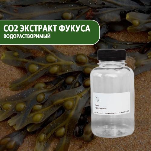 СО2 экстракт Фукуса водорастворимый купить